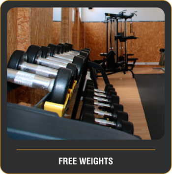 Free Weights - Almada Fitness Center